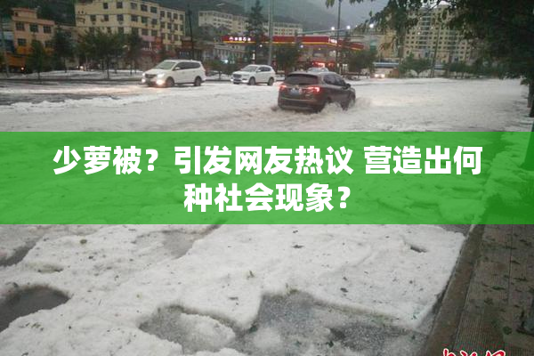 少萝被？引发网友热议 营造出何种社会现象？