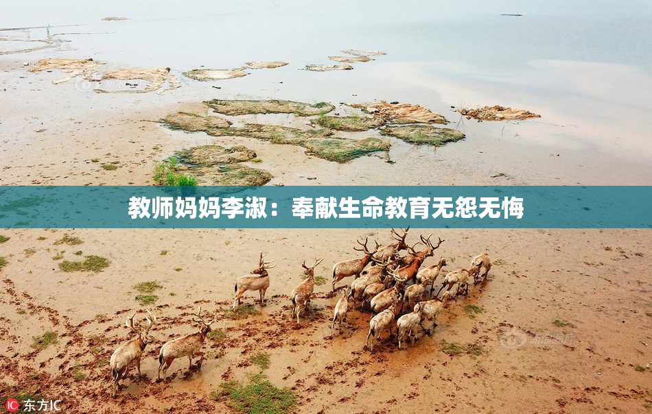 教师妈妈李淑：奉献生命教育无怨无悔