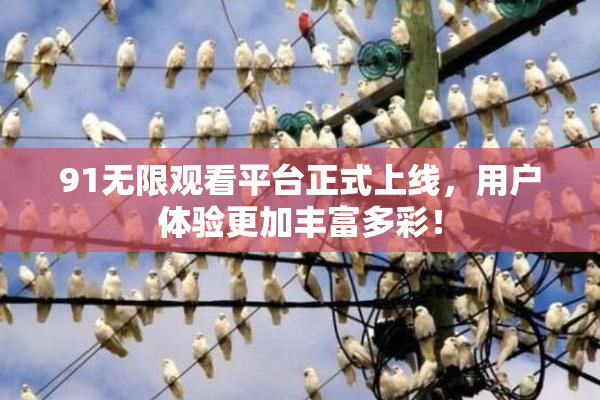 91无限观看平台正式上线，用户体验更加丰富多彩！
