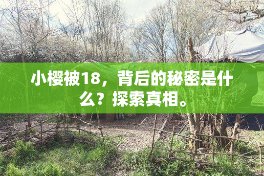 小樱被18，背后的秘密是什么？探索真相。