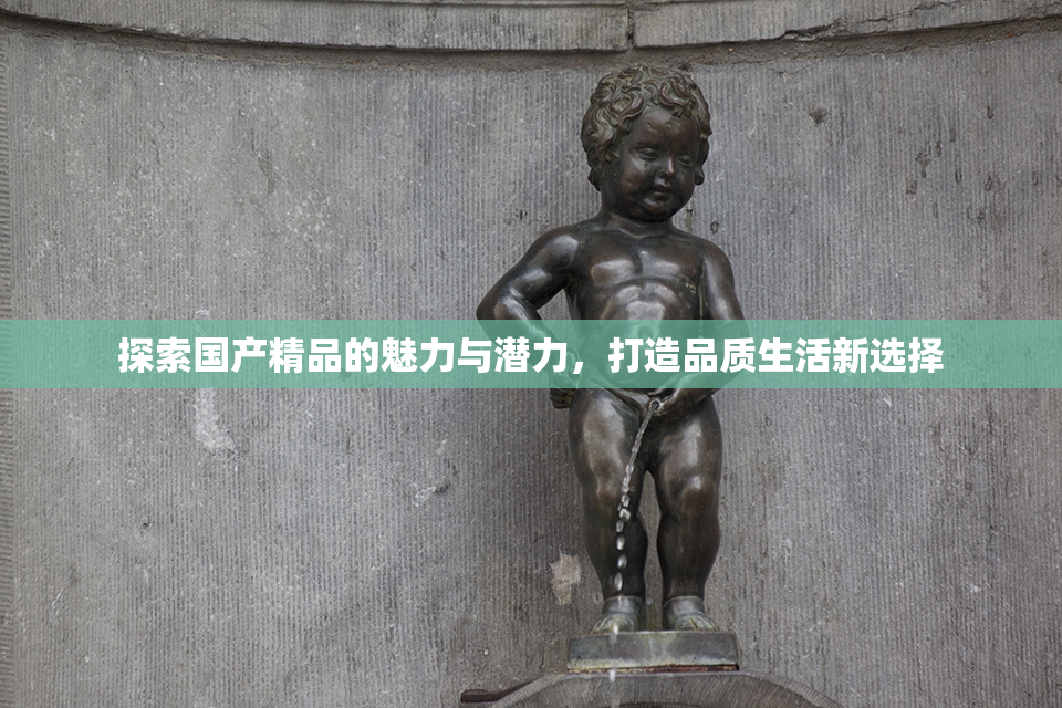 探索国产精品的魅力与潜力，打造品质生活新选择