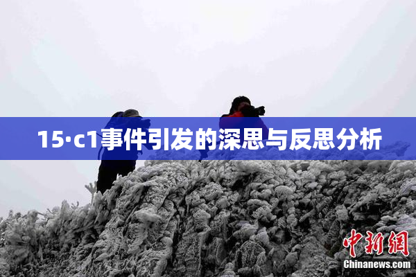 15·c1事件引发的深思与反思分析