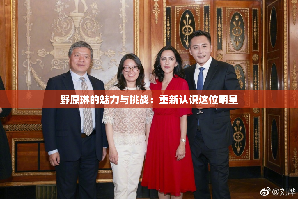 野原琳的魅力与挑战：重新认识这位明星