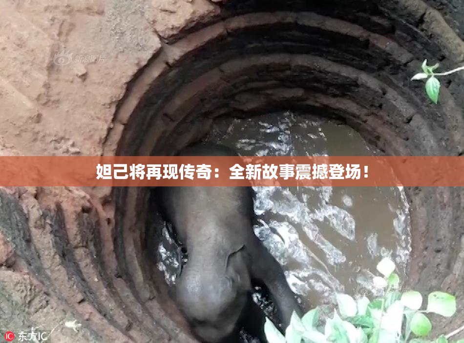 妲己将再现传奇：全新故事震撼登场！