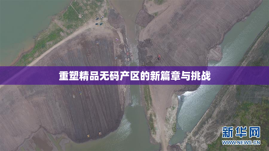 重塑精品无码产区的新篇章与挑战