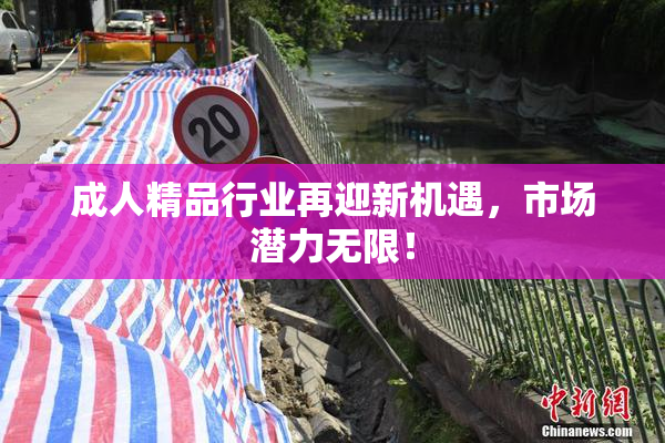 成人精品行业再迎新机遇，市场潜力无限！
