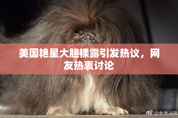 美国艳星大胆裸露引发热议，网友热衷讨论