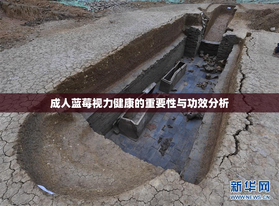 成人蓝莓视力健康的重要性与功效分析