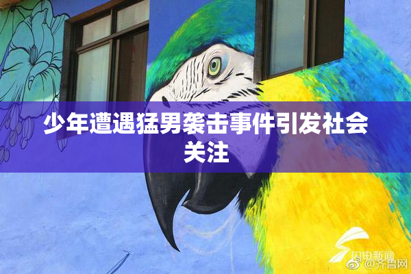 少年遭遇猛男袭击事件引发社会关注
