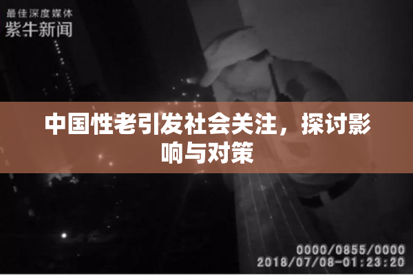中国性老引发社会关注，探讨影响与对策