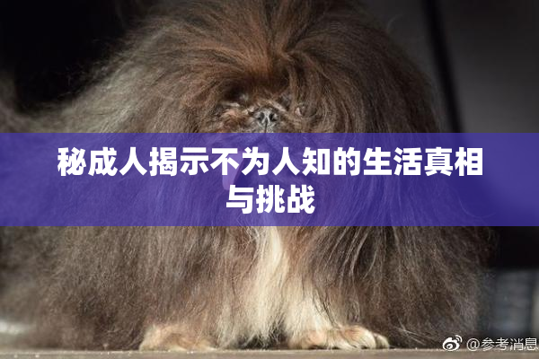 秘成人揭示不为人知的生活真相与挑战