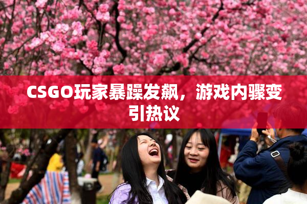 CSGO玩家暴躁发飙，游戏内骤变引热议
