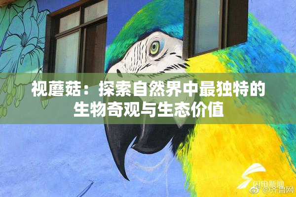 视蘑菇：探索自然界中最独特的生物奇观与生态价值