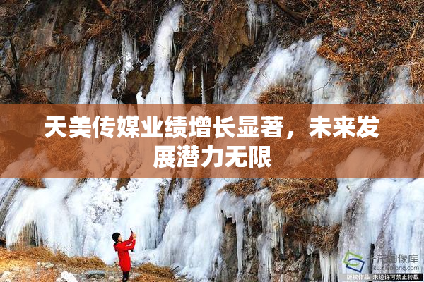 天美传媒业绩增长显著，未来发展潜力无限