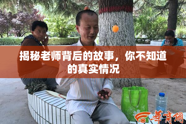 揭秘老师背后的故事，你不知道的真实情况