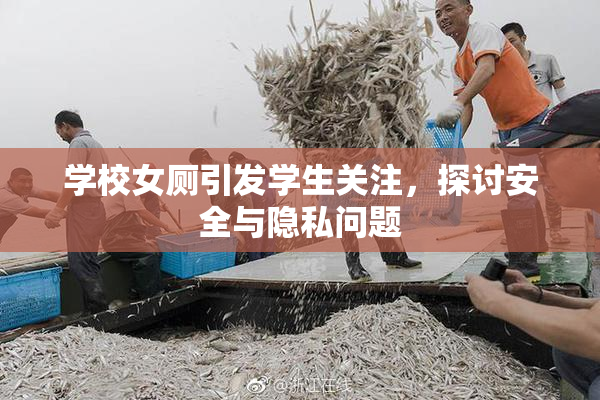 学校女厕引发学生关注，探讨安全与隐私问题