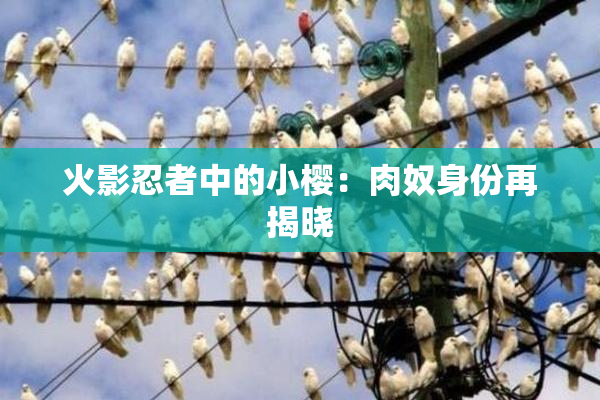 火影忍者中的小樱：肉奴身份再揭晓