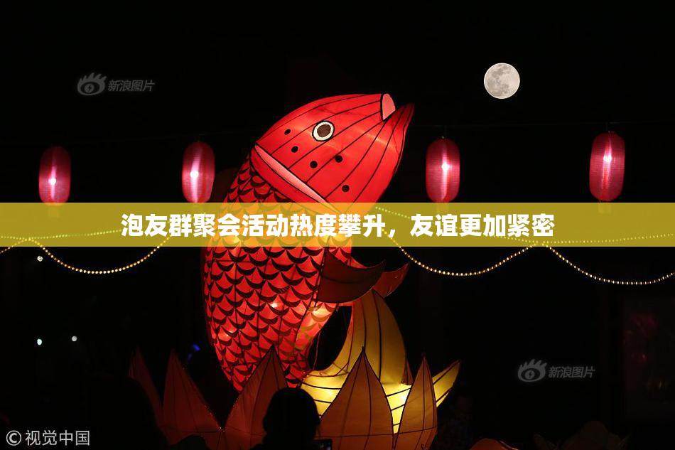 泡友群聚会活动热度攀升，友谊更加紧密