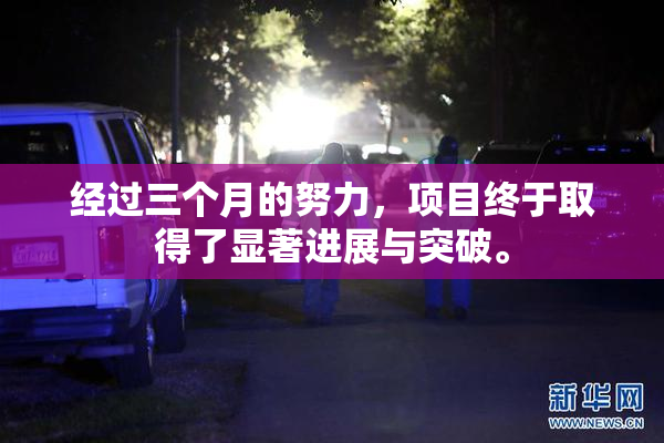 经过三个月的努力，项目终于取得了显著进展与突破。