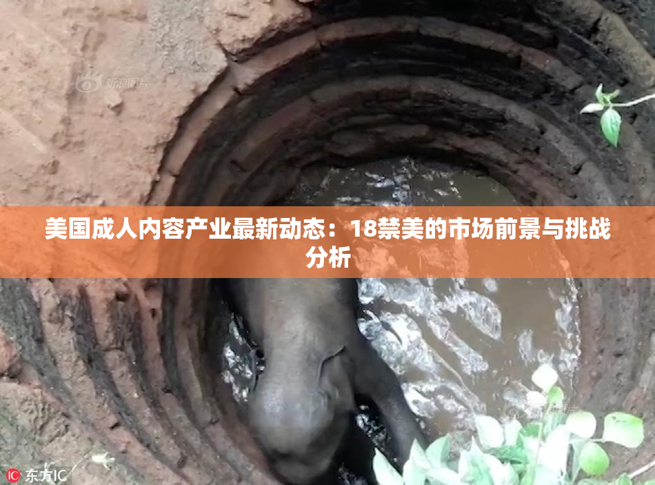 美国成人内容产业最新动态：18禁美的市场前景与挑战分析