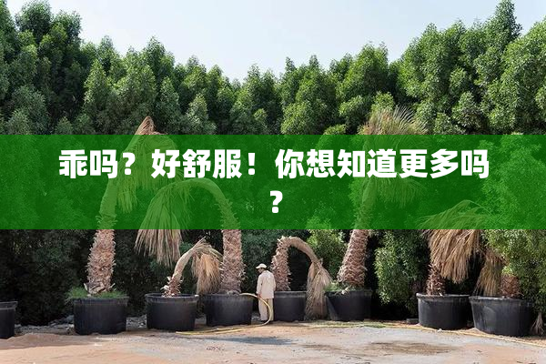 乖吗？好舒服！你想知道更多吗？