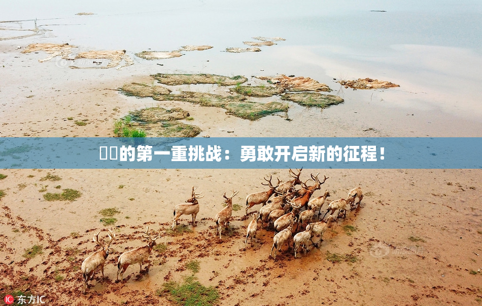 妺妺的第一重挑战：勇敢开启新的征程！