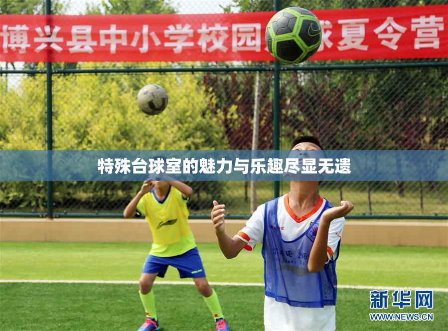 特殊台球室的魅力与乐趣尽显无遗