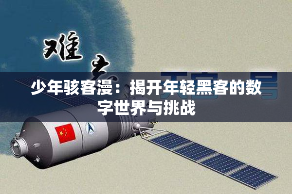 少年骇客漫：揭开年轻黑客的数字世界与挑战