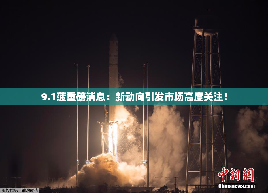 9.1菠重磅消息：新动向引发市场高度关注！