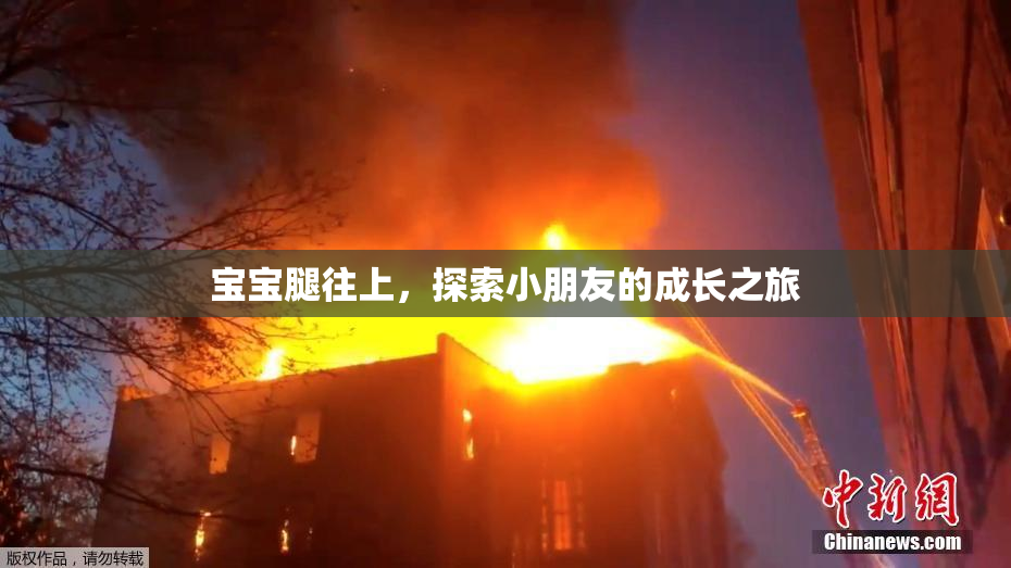 宝宝腿往上，探索小朋友的成长之旅