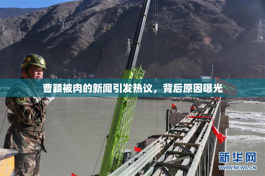 曹颖被肉的新闻引发热议，背后原因曝光