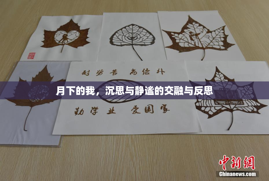 月下的我，沉思与静谧的交融与反思