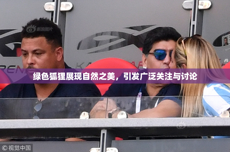绿色狐狸展现自然之美，引发广泛关注与讨论