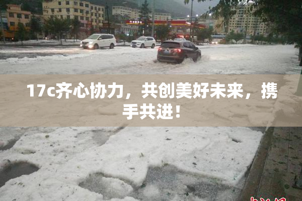 17c齐心协力，共创美好未来，携手共进！