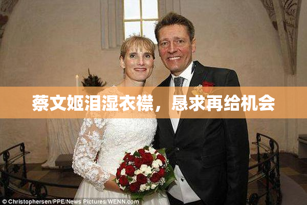 蔡文姬泪湿衣襟，恳求再给机会