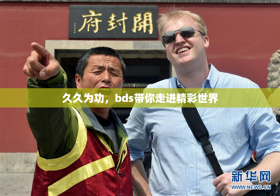 久久为功，bds带你走进精彩世界
