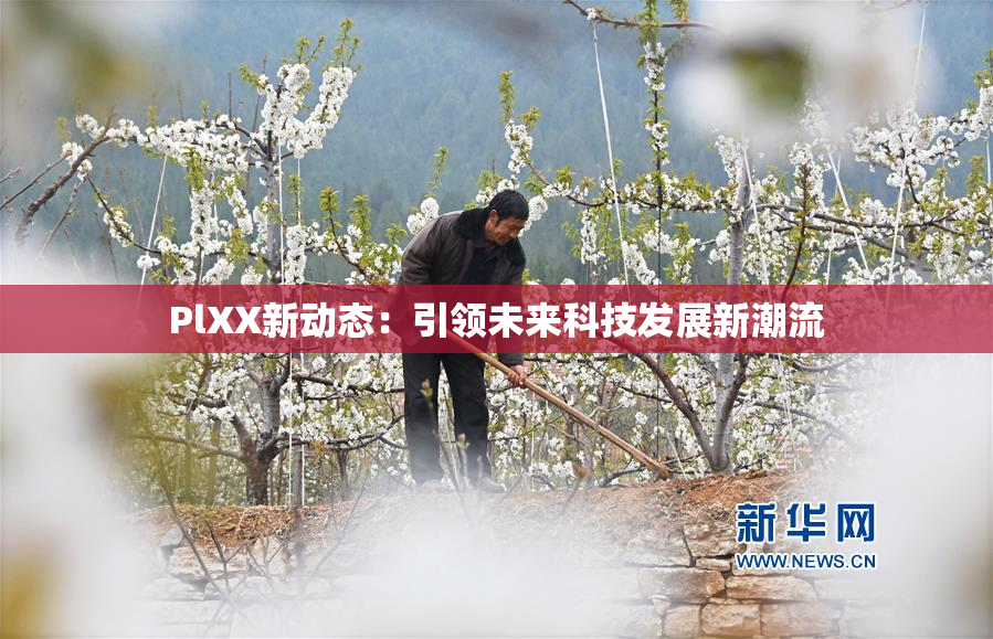 PlXX新动态：引领未来科技发展新潮流
