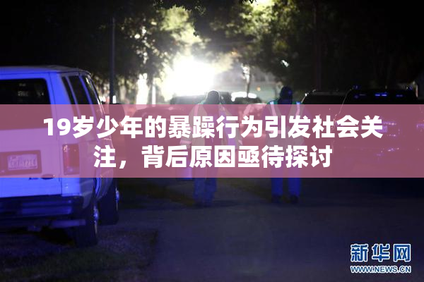 19岁少年的暴躁行为引发社会关注，背后原因亟待探讨