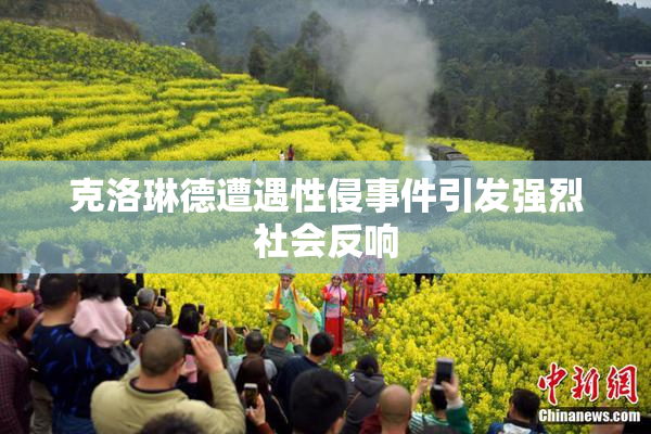 克洛琳德遭遇性侵事件引发强烈社会反响