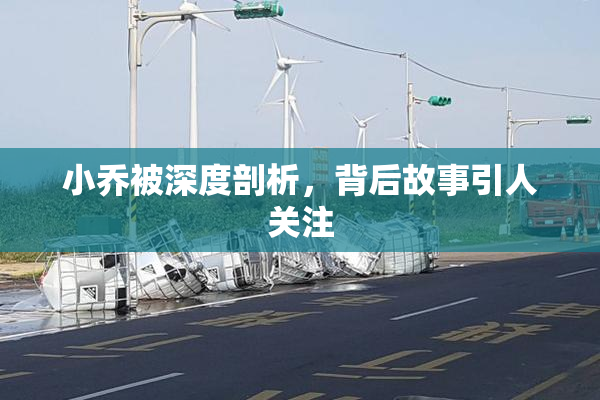 小乔被深度剖析，背后故事引人关注