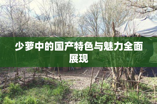 少萝中的国产特色与魅力全面展现