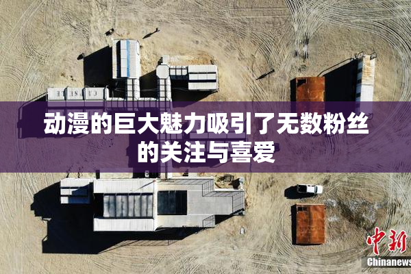 动漫的巨大魅力吸引了无数粉丝的关注与喜爱