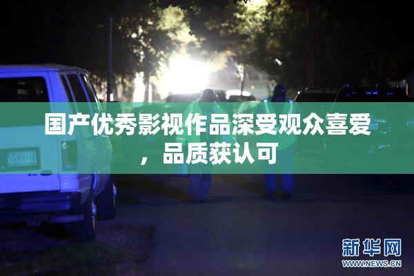 国产优秀影视作品深受观众喜爱，品质获认可