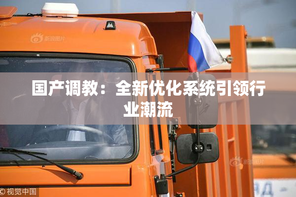 国产调教：全新优化系统引领行业潮流