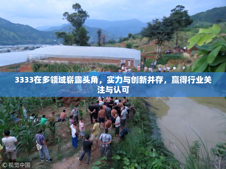 3333在多领域崭露头角，实力与创新并存，赢得行业关注与认可