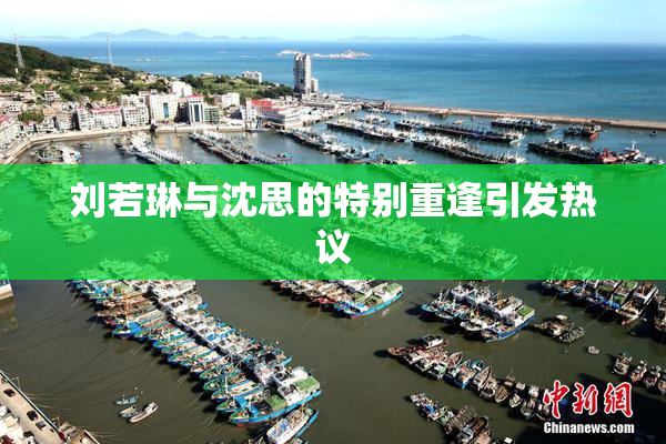 刘若琳与沈思的特别重逢引发热议