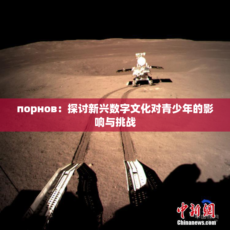 порнов：探讨新兴数字文化对青少年的影响与挑战