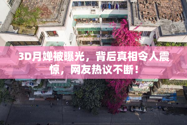 3D月婵被曝光，背后真相令人震惊，网友热议不断！