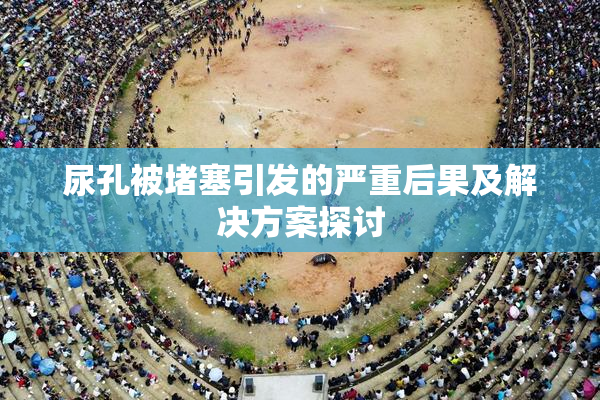 尿孔被堵塞引发的严重后果及解决方案探讨