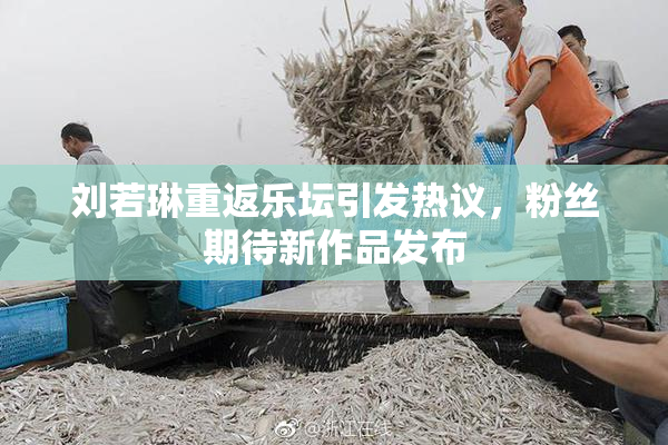 刘若琳重返乐坛引发热议，粉丝期待新作品发布